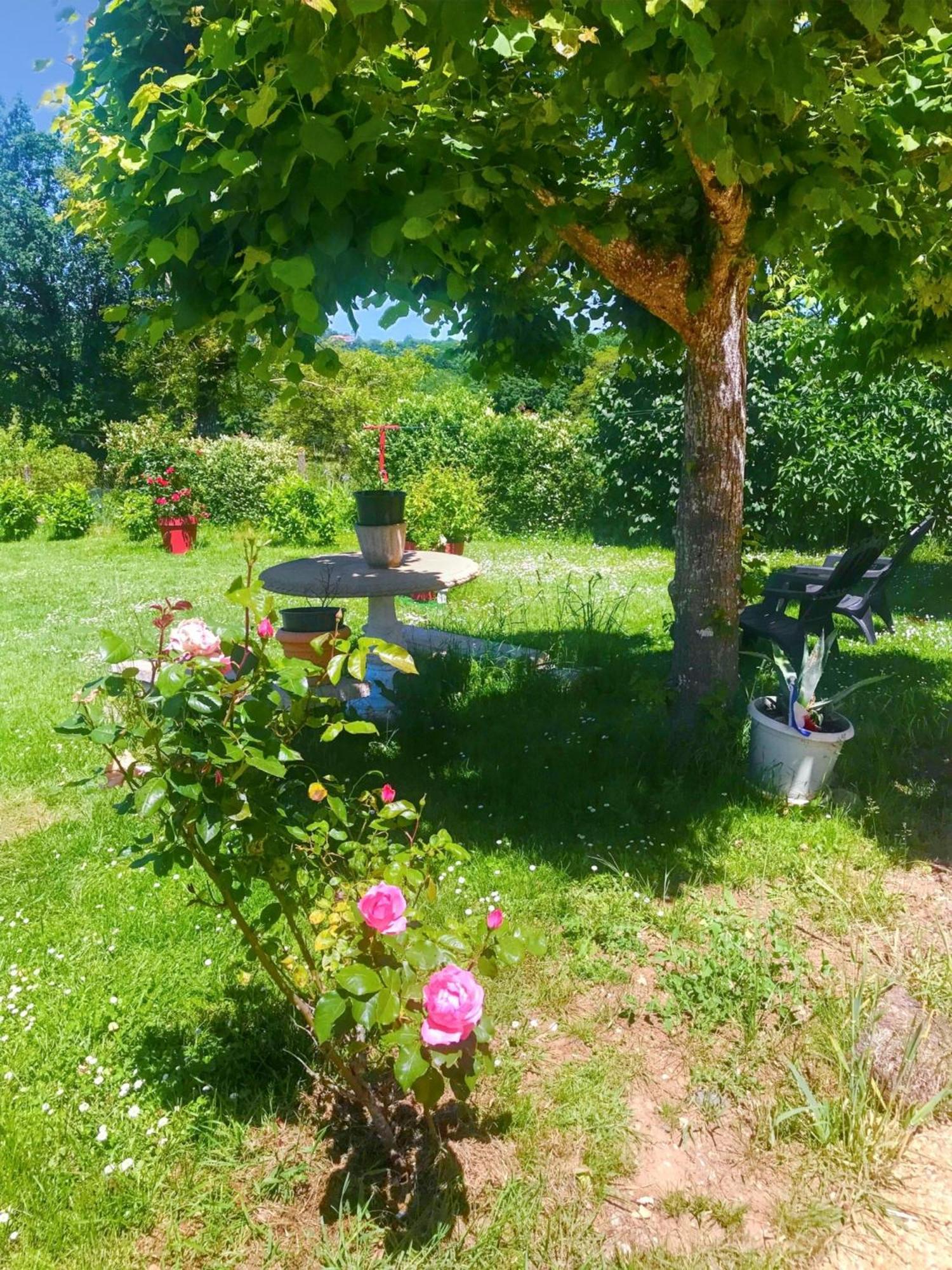 Appartement Charmant A Toulonjac Avec Jardin Et Terrasse 110 M² Exteriér fotografie