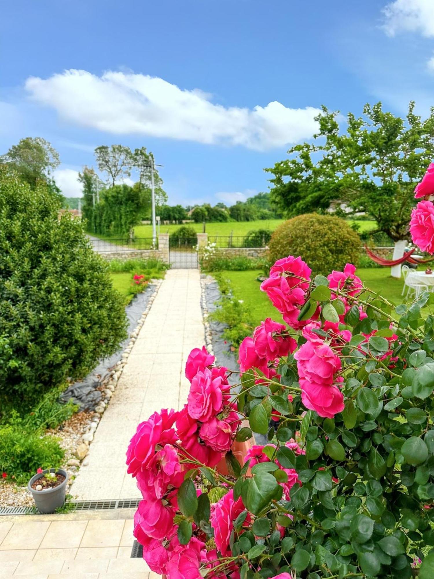 Appartement Charmant A Toulonjac Avec Jardin Et Terrasse 110 M² Exteriér fotografie